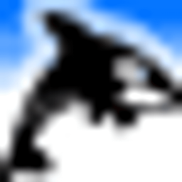 Orca Security