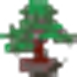 Bonsai