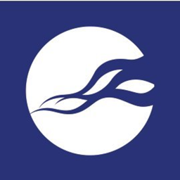 NCC Group